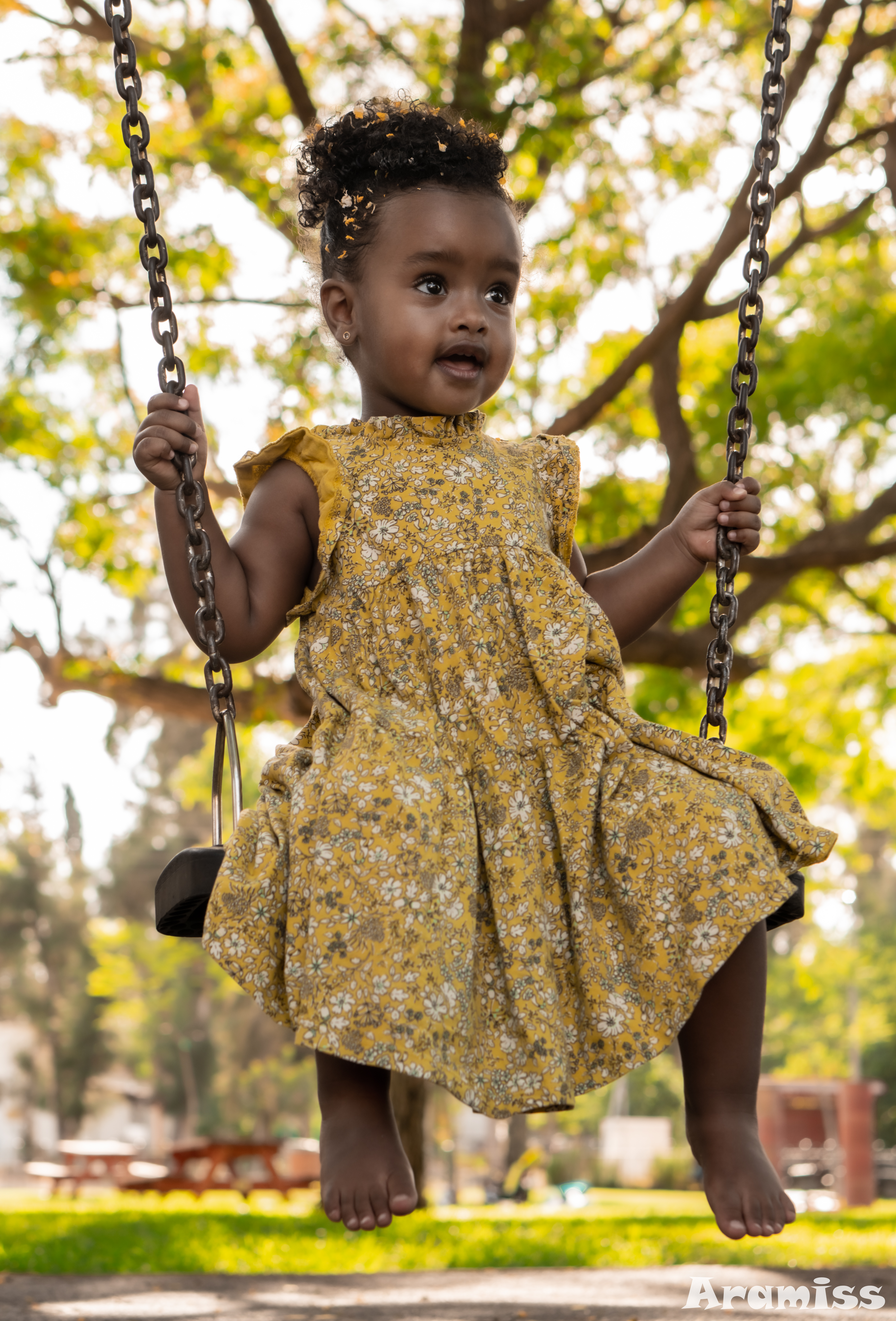 Entry 330568 in Portfolio by Aramiss Photography and Art