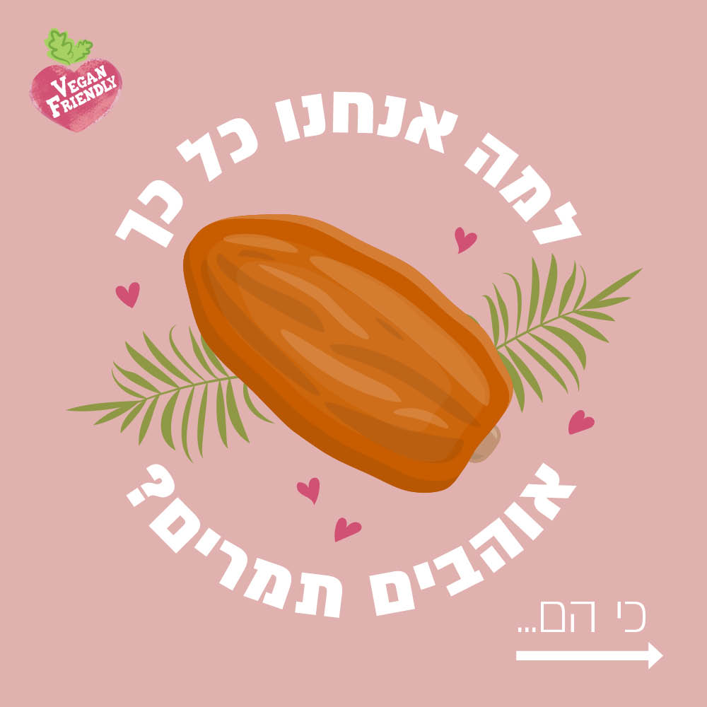 Entry 307546 in Portfolio by שרון כהן