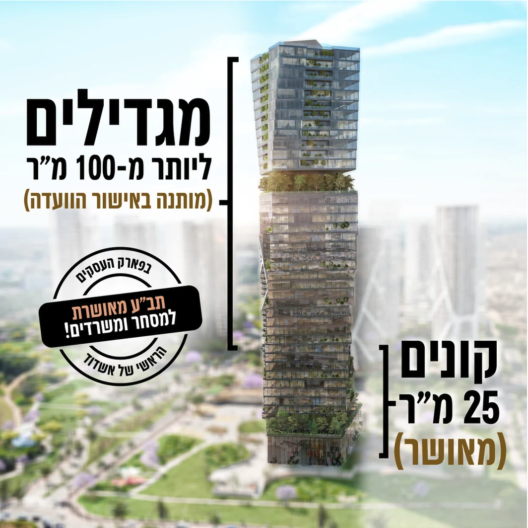 Entry 314718 in דיגיטל by רוני אמיתי עיצוב גרפי