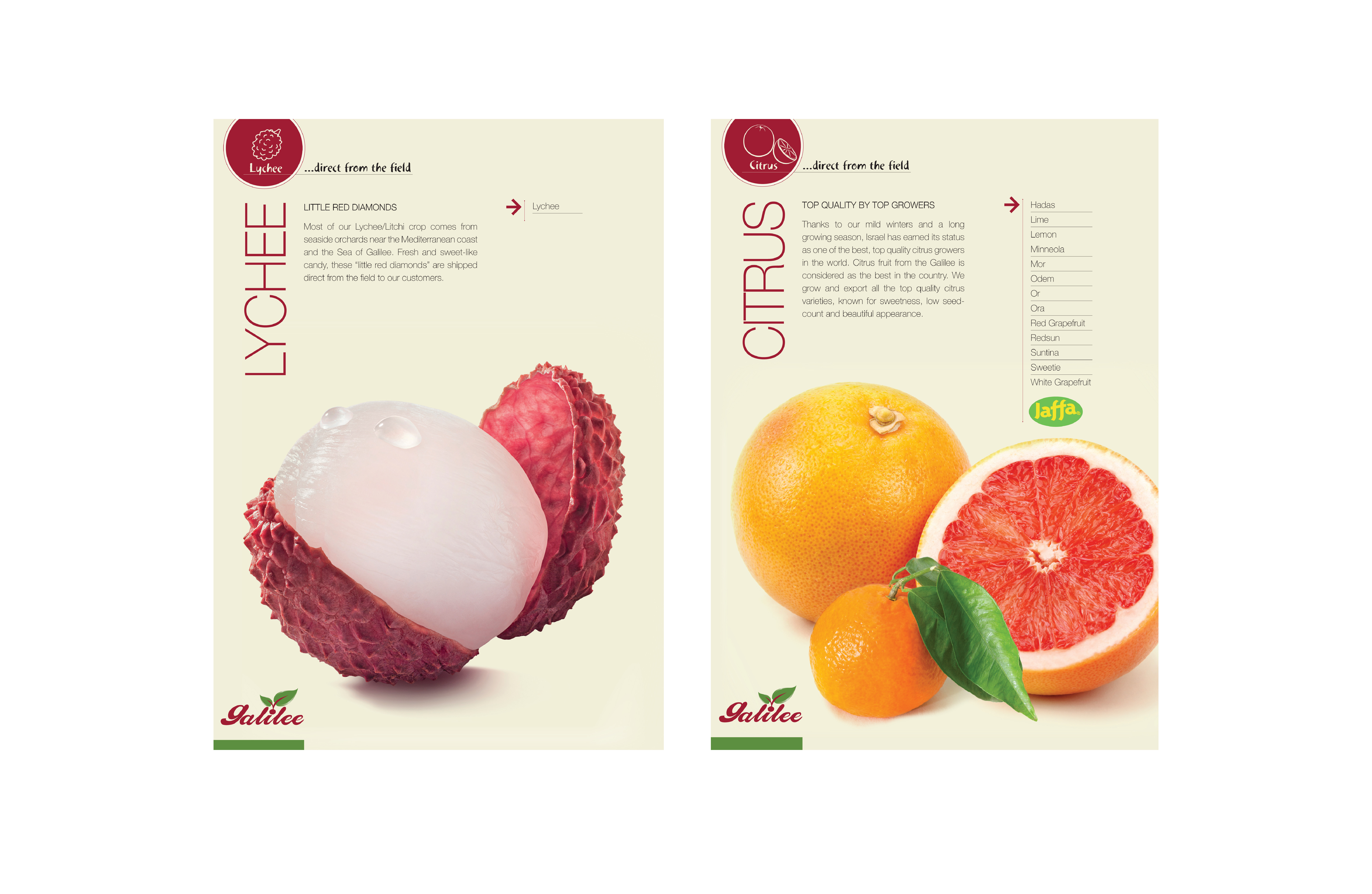 Entry 303052 in Folders & info sheets by N&N Studio