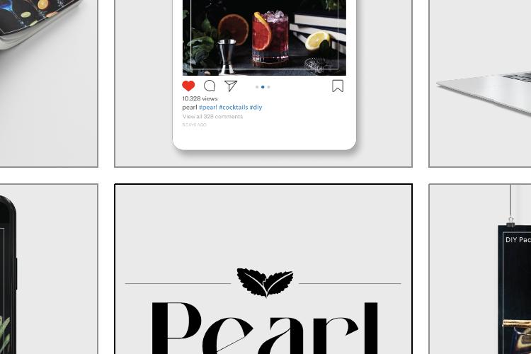Open Zoomed Related Entry Pearl