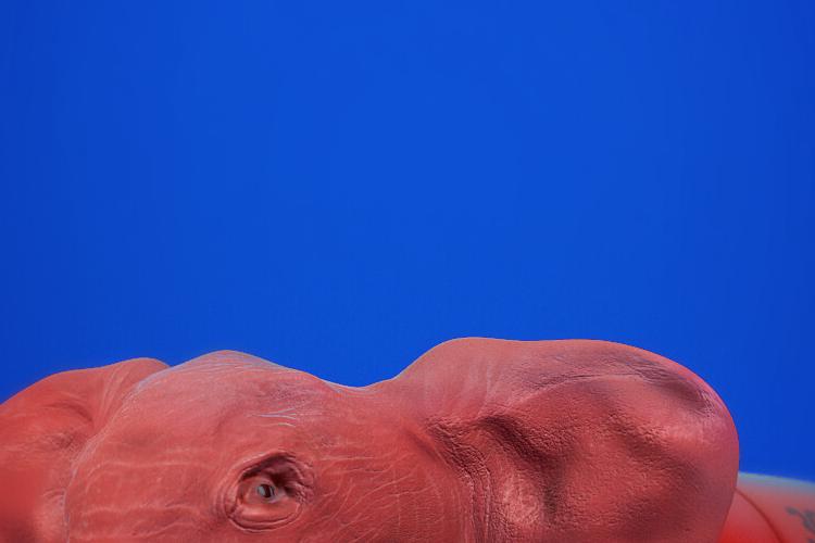 Open Zoomed Related Entry gilx-ostrover-redpill-render-031d-wm.jpg
