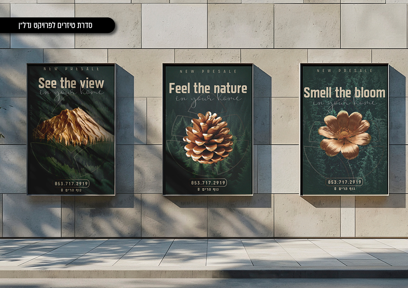 Entry 342507 in Portfolio by Mindy Stern