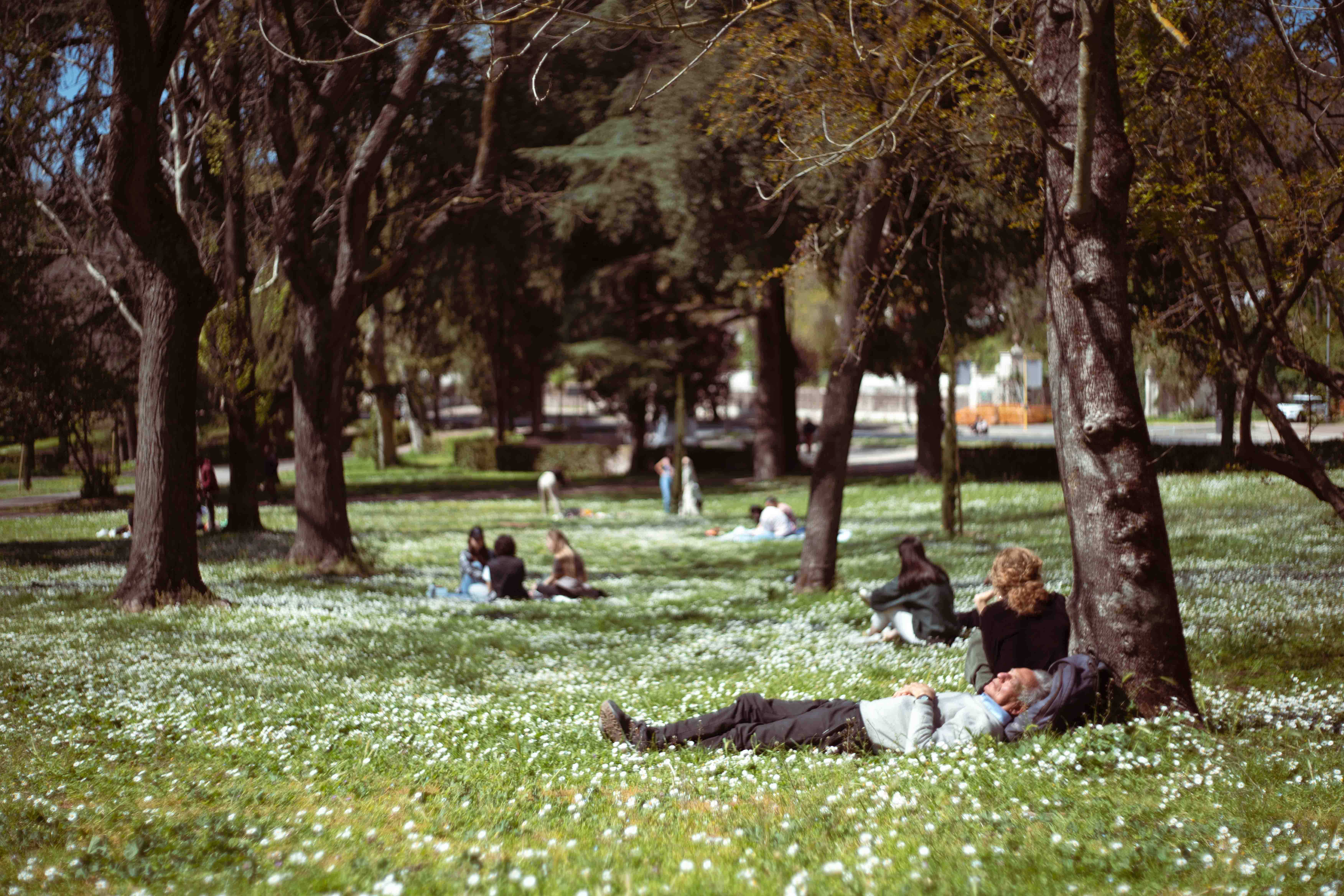 Entry 295295 in PHOTOGRAPHY by Keren Osher