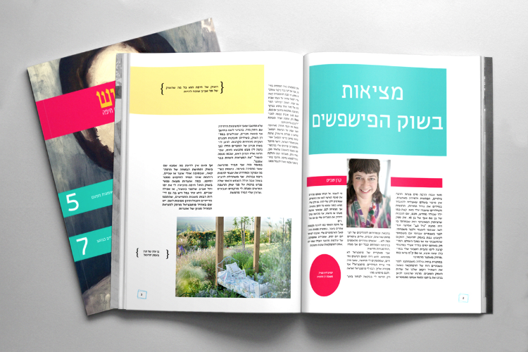 Open Zoomed Related Entry עיצוב מגזין