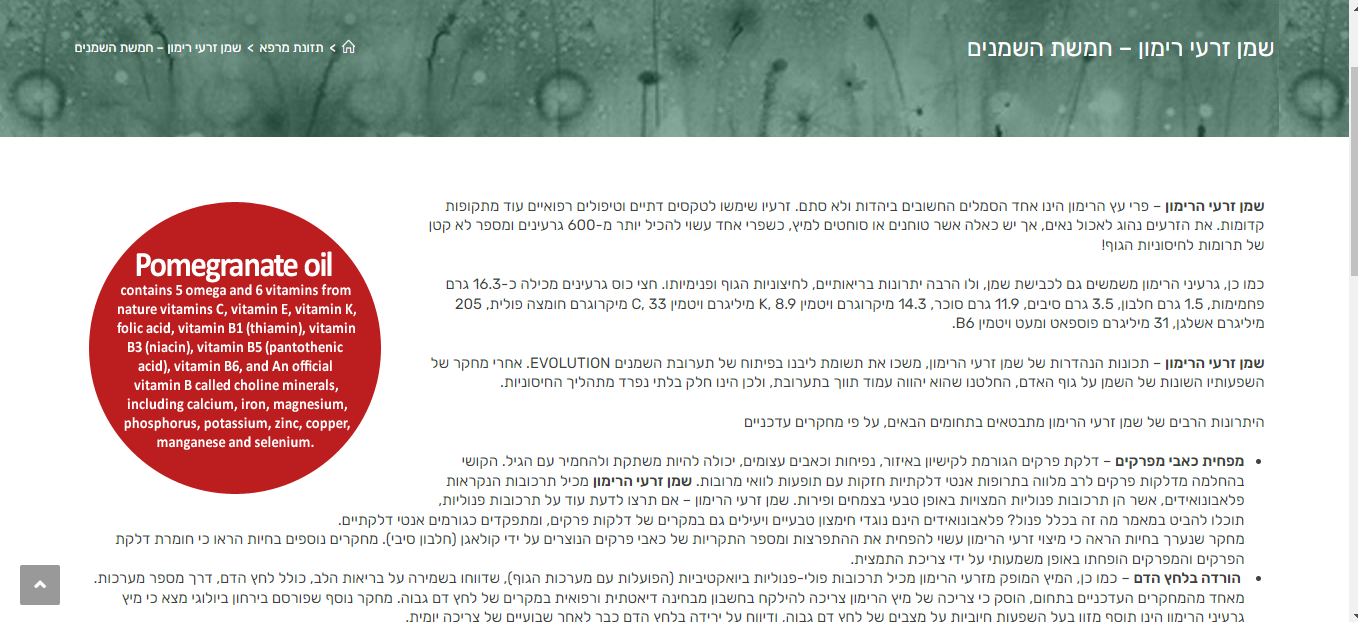 Entry 267861 in כתיבת תכנים by ayala web creation
