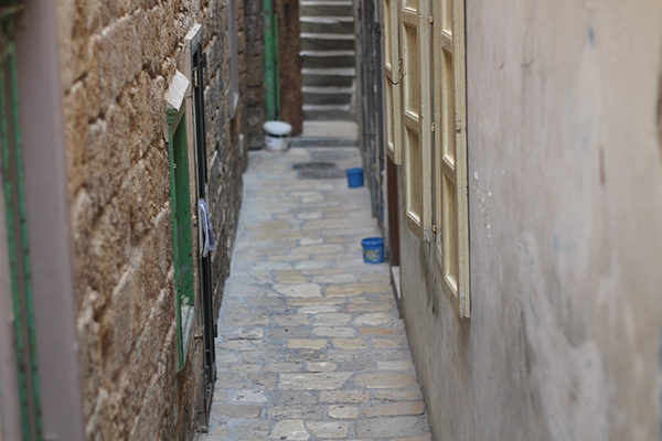 Entry 125293 in Photography by Nimrod Levy