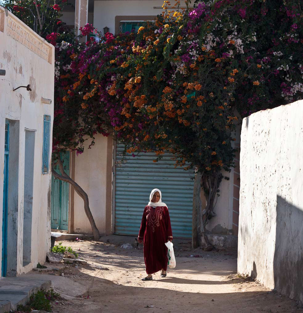 Entry 212656 in Fouta: The hijab from Zarzis by Alexandre Ammar