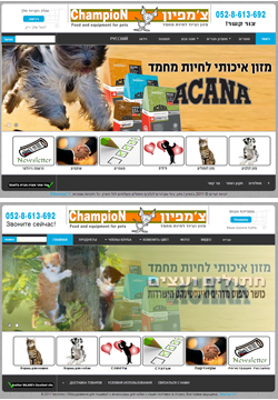 Entry 26951 in Portfolio by בלאנס מחשבים אינטרנט ותקשורת