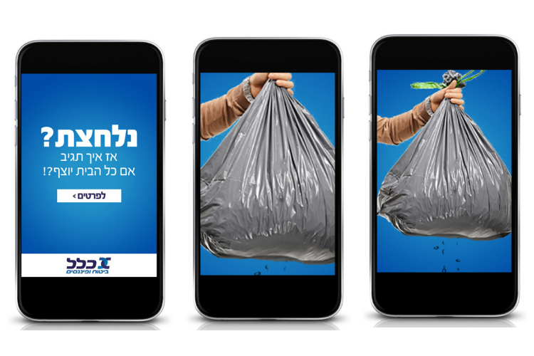 Entry 221302 in Portfolio by Eitan Gefen
