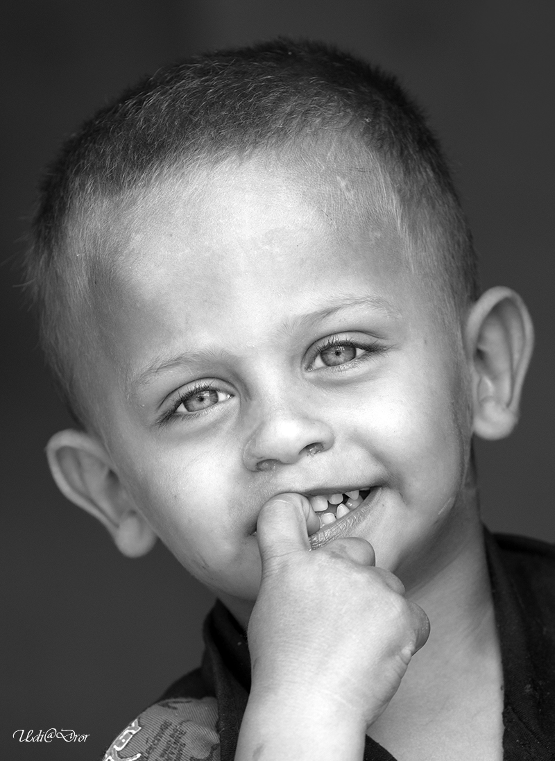 Entry 209442 in Portfolio by Udi Dror Photography
