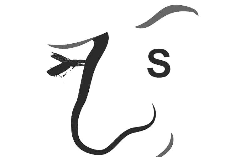 Open Zoomed Related Entry סרטוןו.png