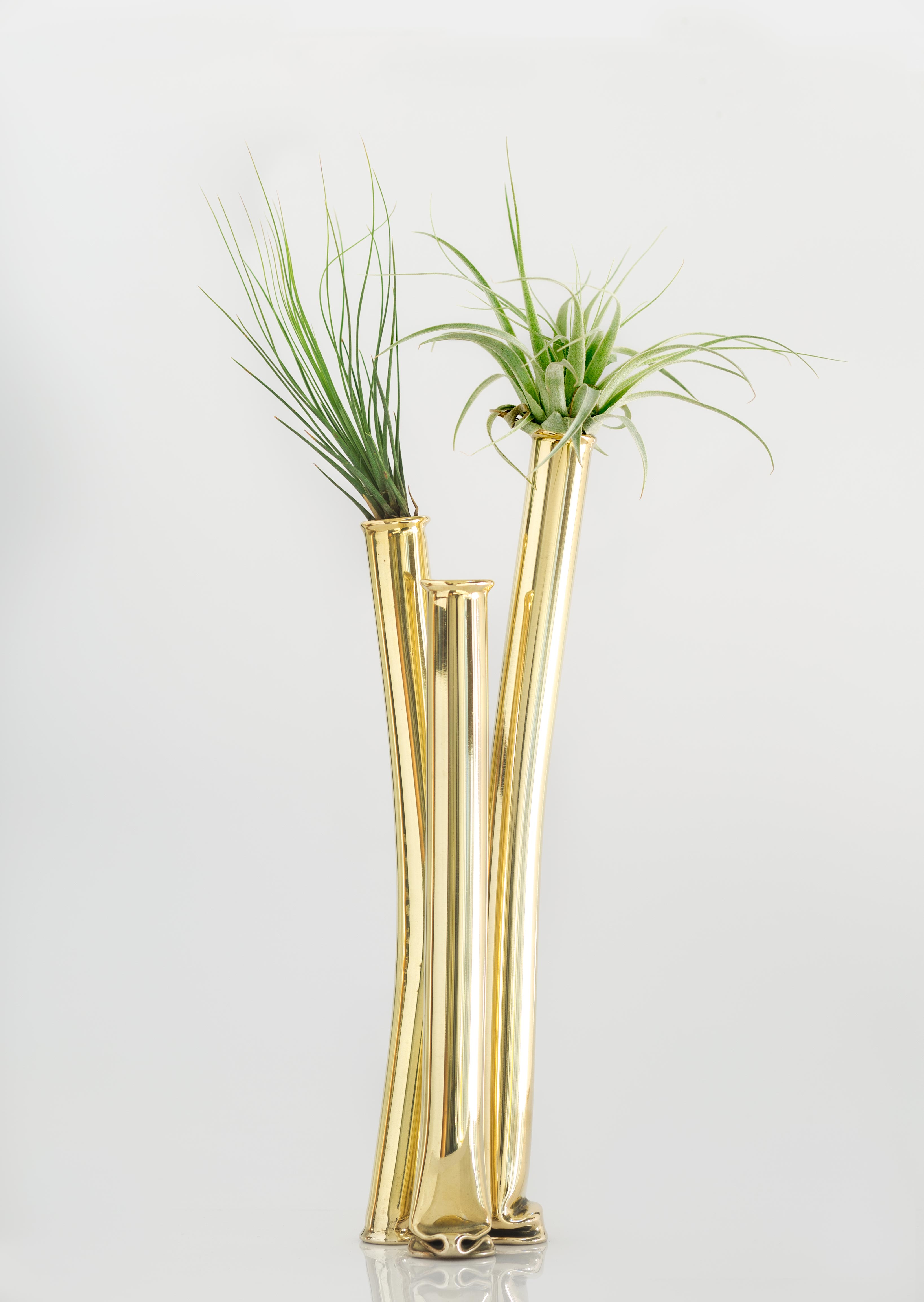 Entry 119833 in Squeezed Vase by AA Design Studio