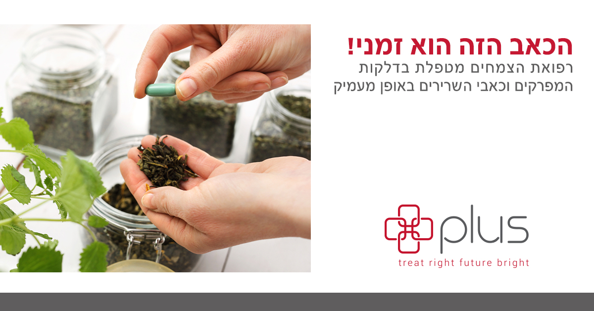 Entry 147744 in צמחי מרפא by דנה דרבינסקי - כתיבה, סושיאל, עריכה, הובלת פרויקטי תוכן