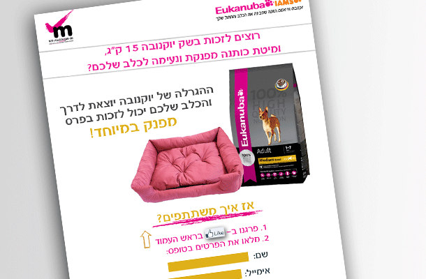 Entry 34950 in Portfolio by רייכמן ניו מדיה