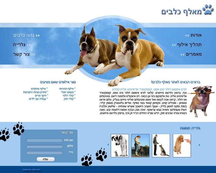 Entry 26524 in Portfolio by פולי הרי