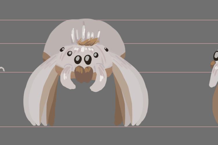 Open Zoomed Related Entry SpooderModelSheet.jpg
