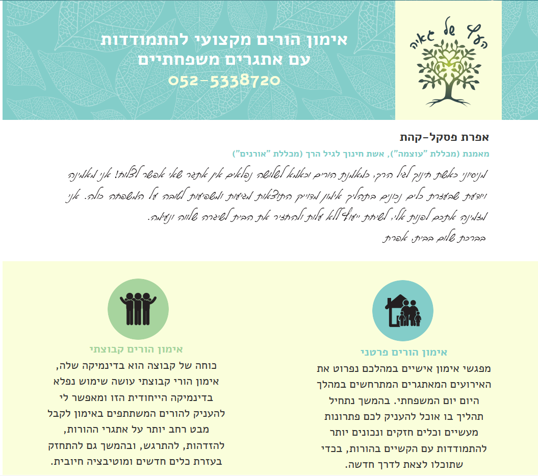 Entry 88041 in Portfolio by גל חדד WPsite