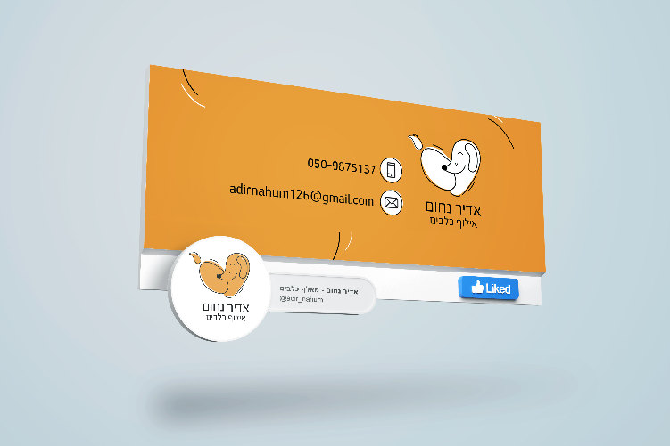 Open Zoomed Related Entry adir facebook mockup.jpg
