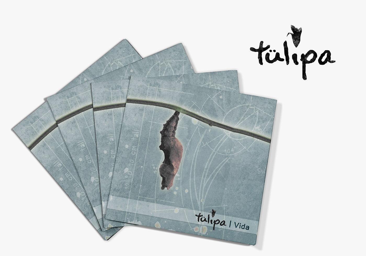 Entry 99360 in CD Covers Collection by Graphic Boost