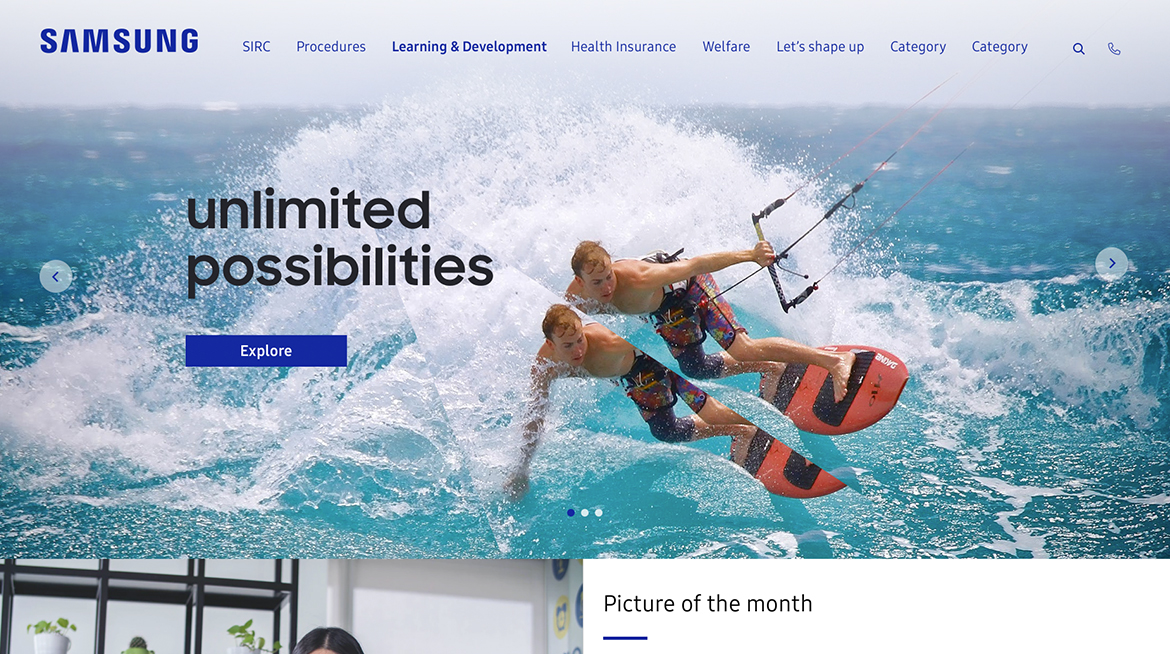 Entry 251005 in Portfolio by Elad Software systems
