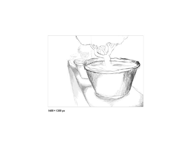 Entry 45397 in Portfolio by Gil Zissu