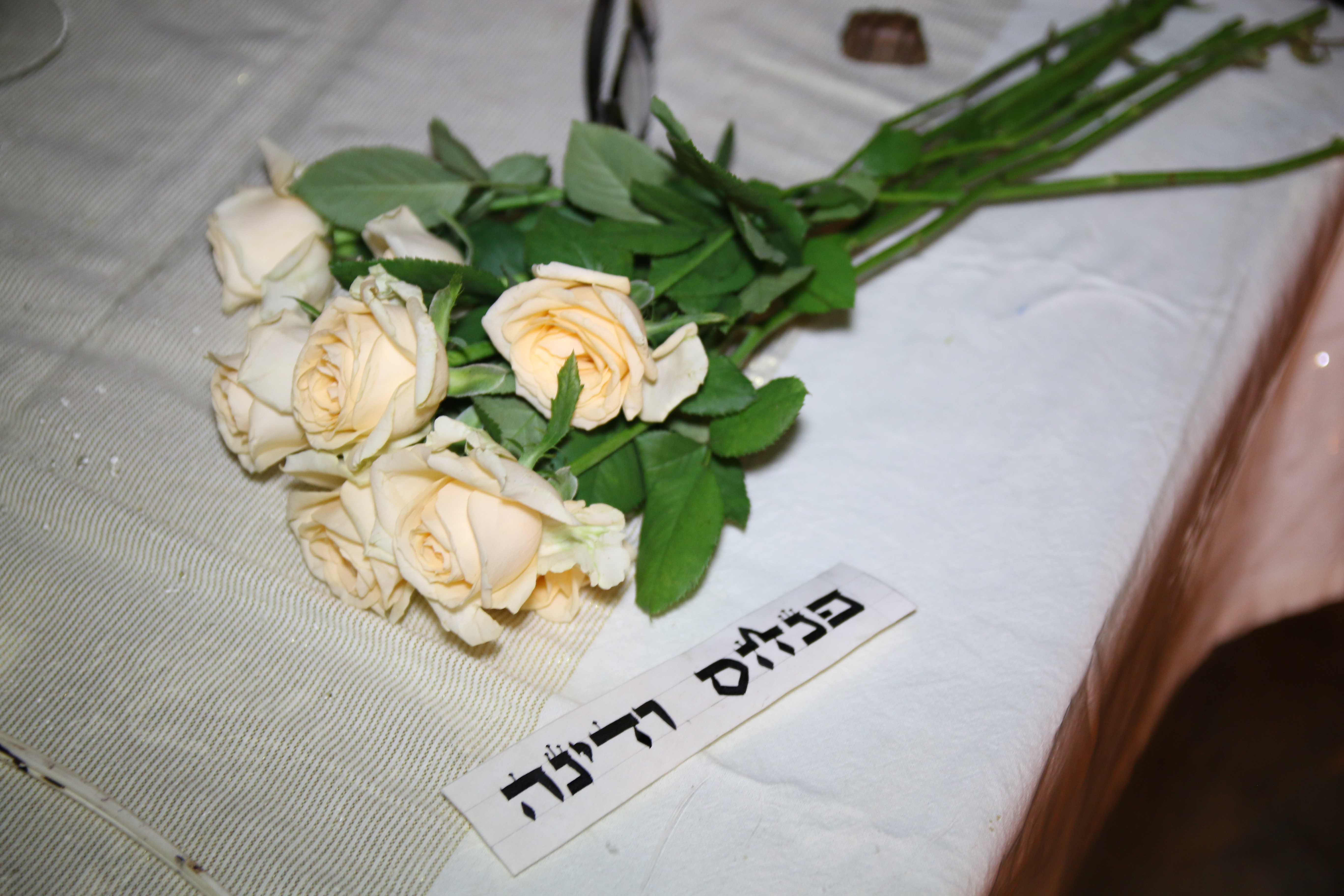 Entry 125948 in אירועים by benibsh