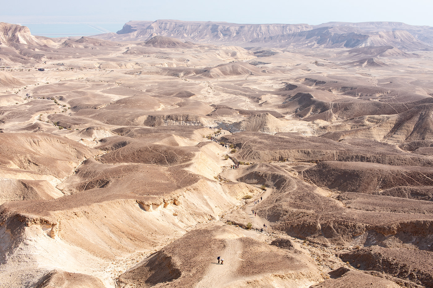 Entry 199896 in The Negev Desert: from a sunrise to the Dead Sea by Sofia Feiguelman
