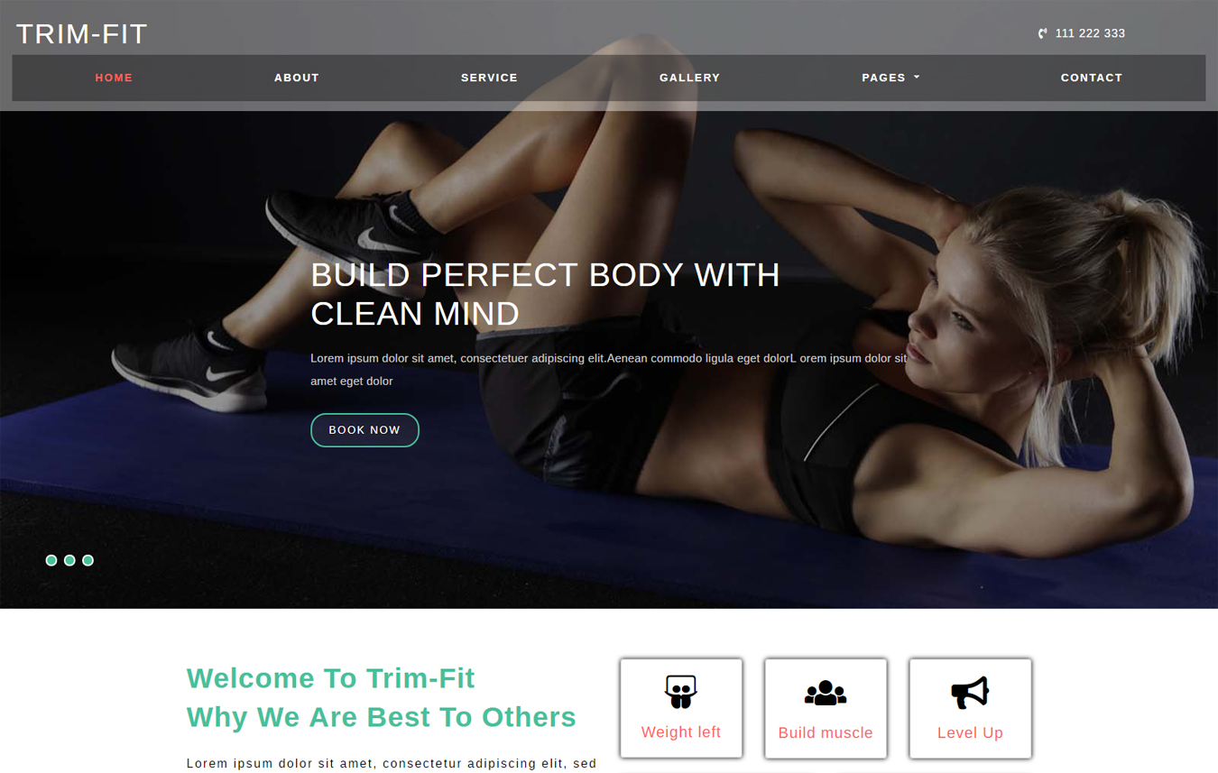 Entry 209825 in Portfolio by dudyweb