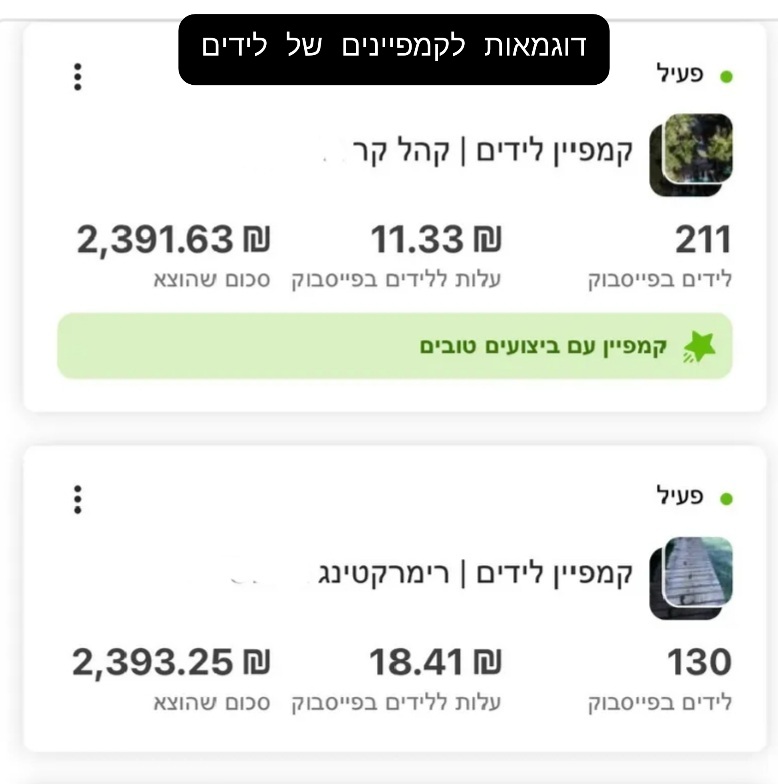 Entry 304308 in אתרים וקידום ממומן by אביב מאיר- קידום עסקים מדויק