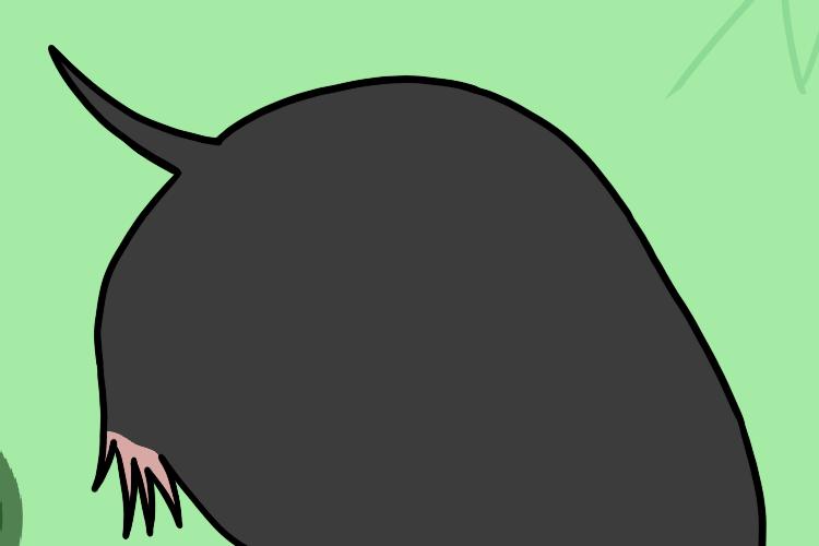 Open Zoomed Related Entry 3972B417-8317-40FA-BB52-989CF5C66EE4.png