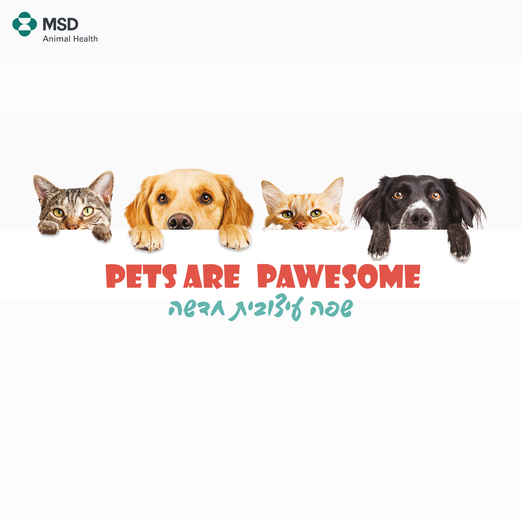 Entry 314701 in PETS ARE PAWSOME by רוני אמיתי עיצוב גרפי