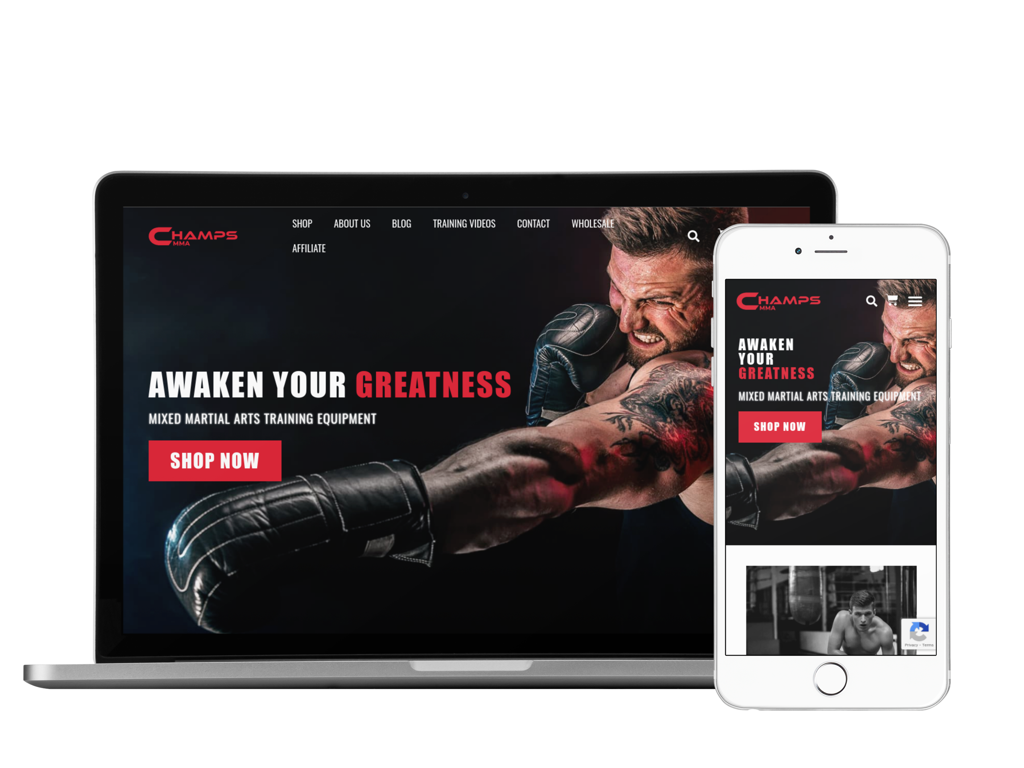 Entry 304493 in Portfolio by Ariel Web Design