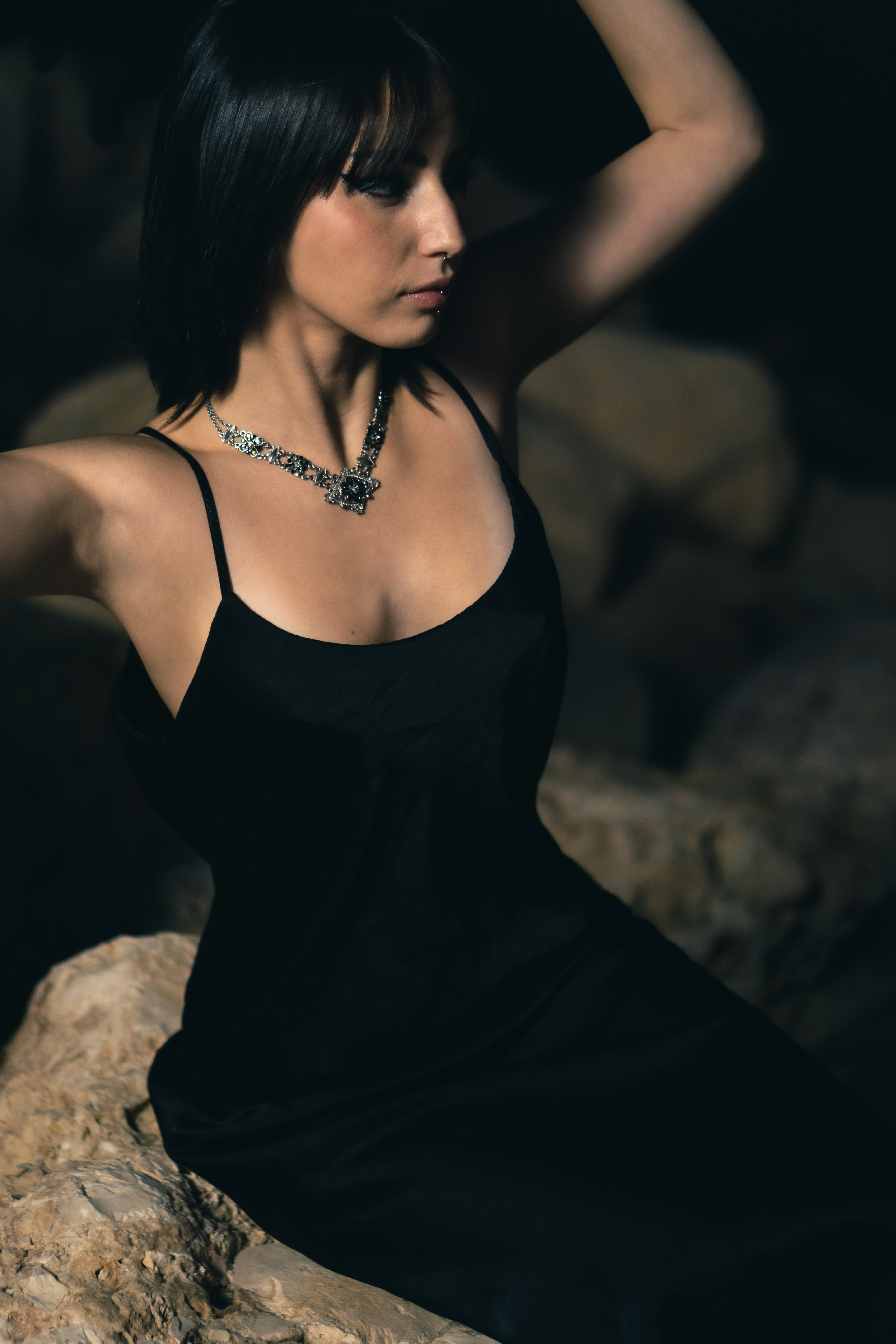 Entry 330566 in Portfolio by Aramiss Photography and Art