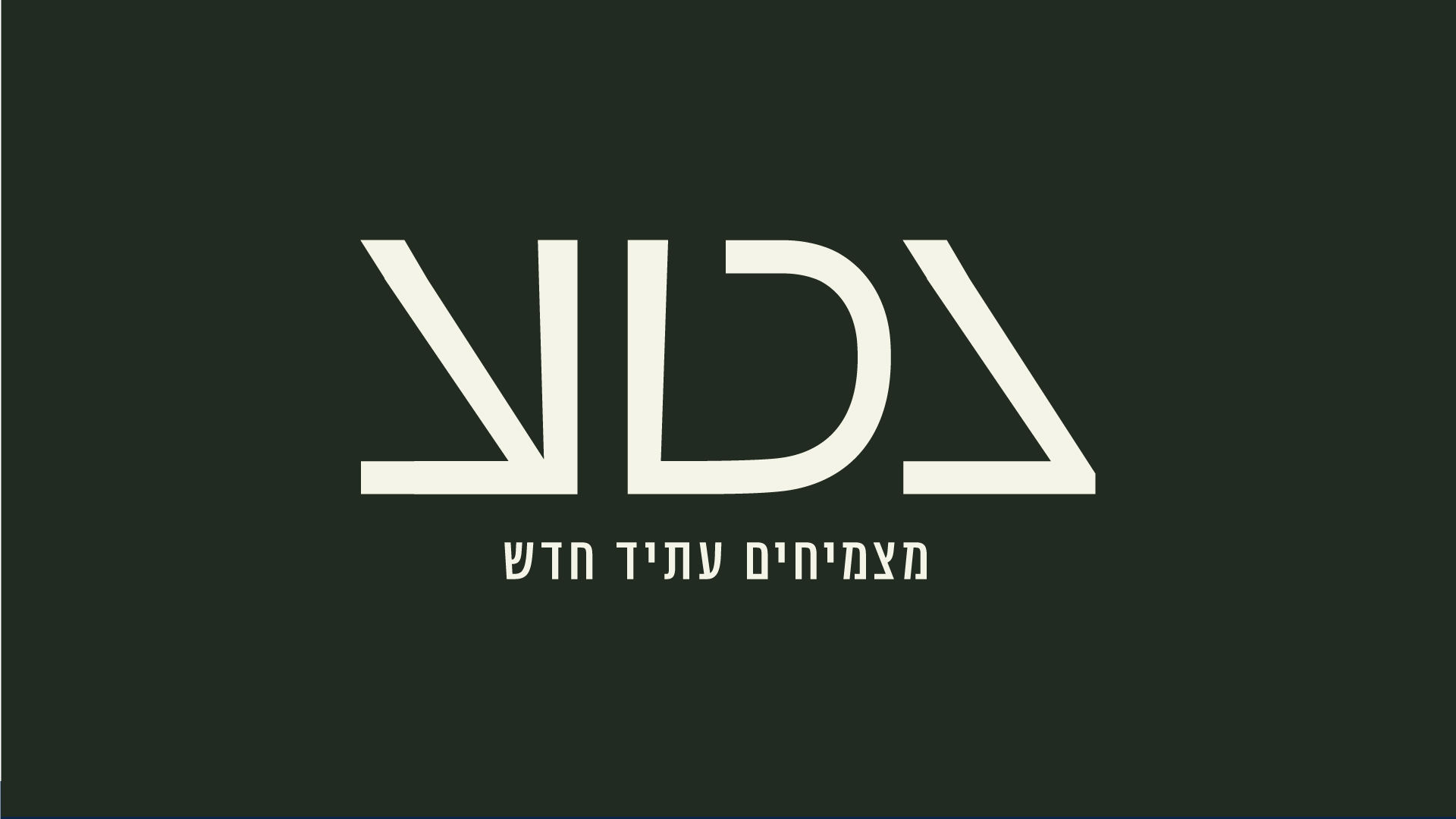 Entry 336547 in Portfolio by סטודיו SENSA