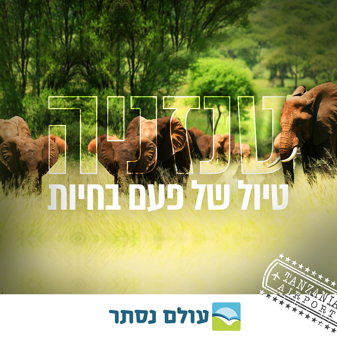 Entry 279910 in Digital & Social Media by Nurit Cohen G Design