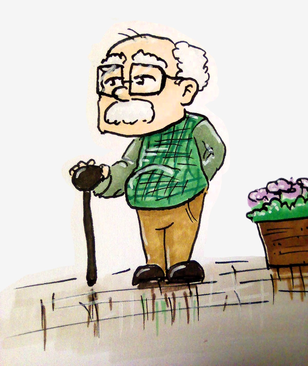 Entry 315534 in Portfolio by יובל רז