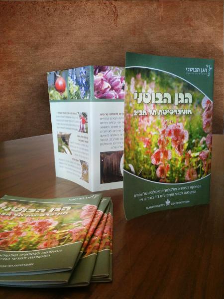 Entry 38225 in Portfolio by סטודיו טלירון