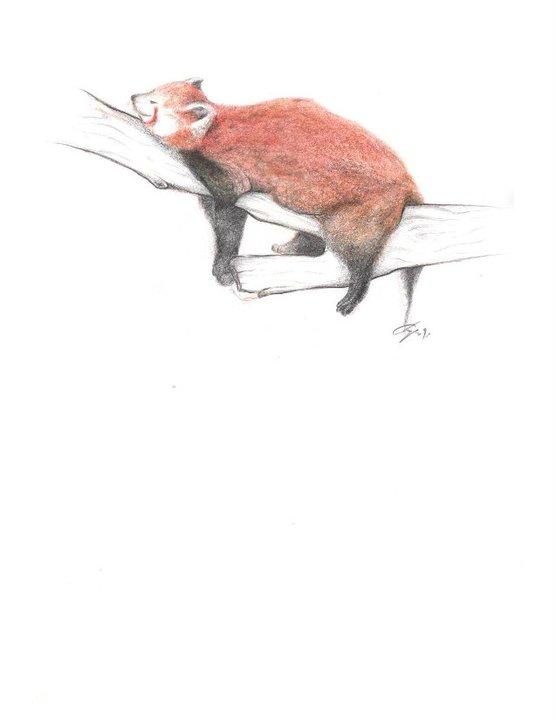 Entry 69838 in Illustration by Chapi