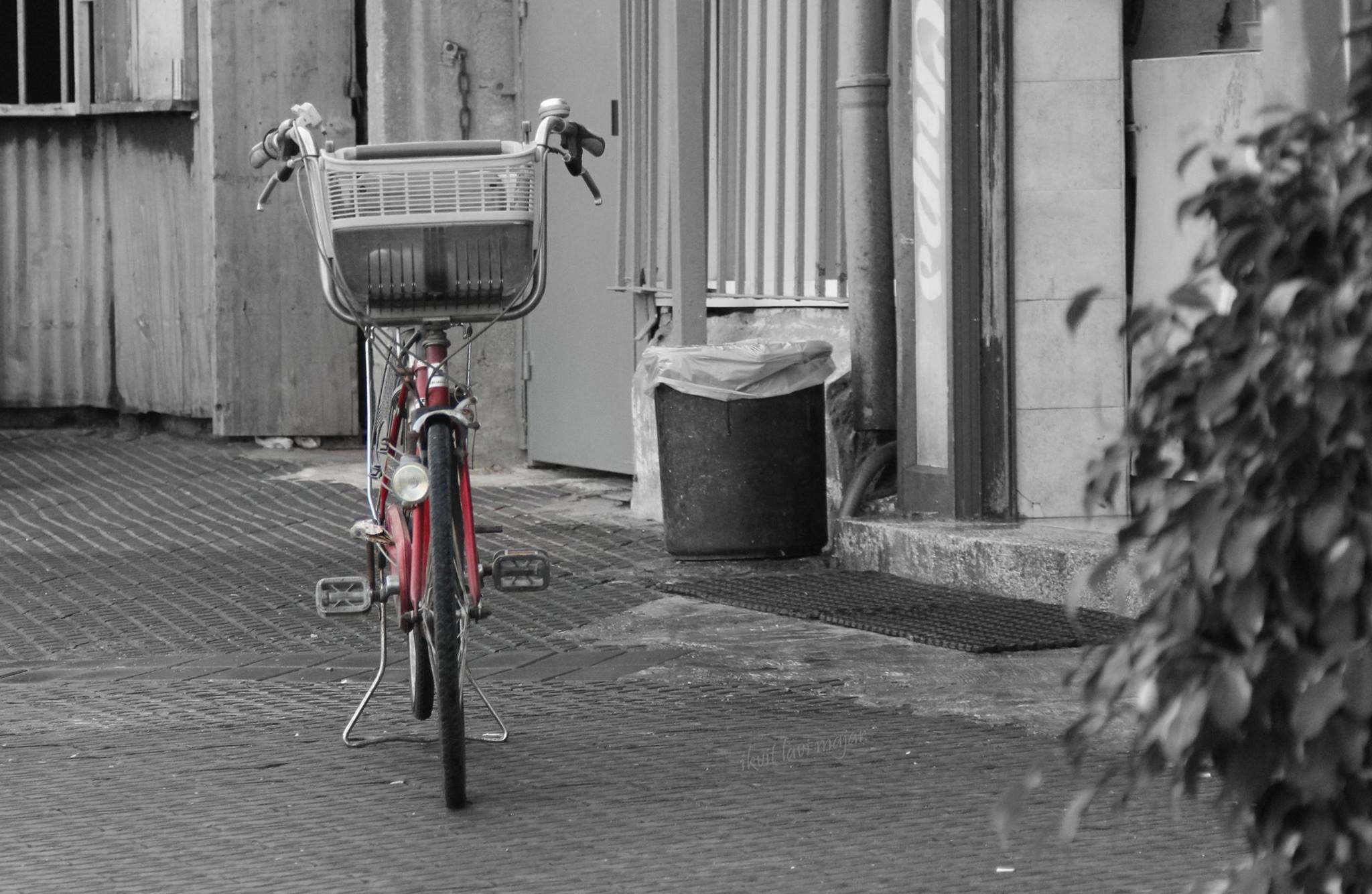 Entry 221007 in Portfolio by ikvit lavi majar