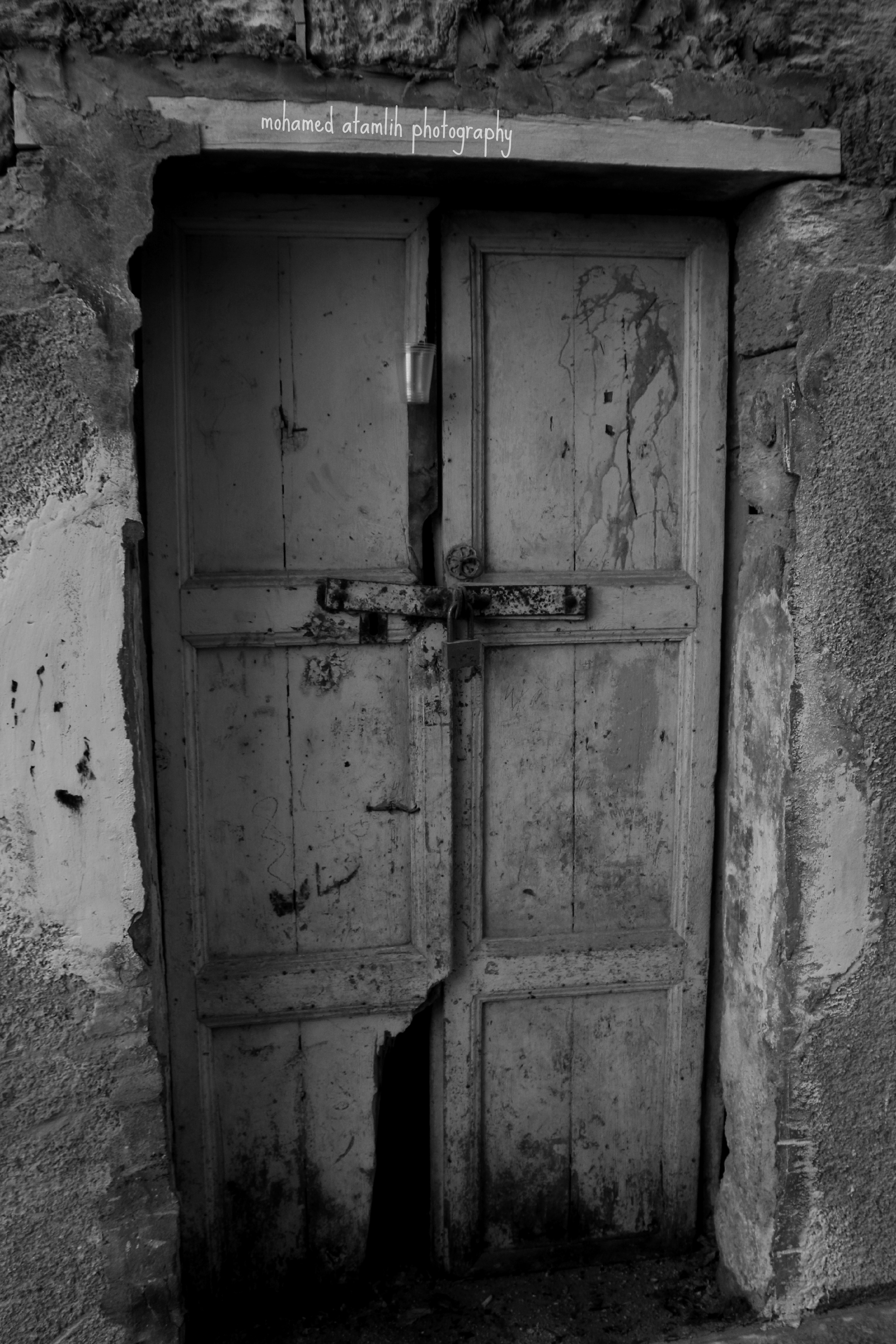 Entry 124021 in Portfolio by מרכז סריקה והעתקות ריינה 0524319094