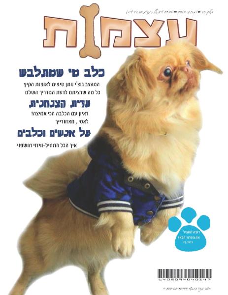 Entry 34921 in Portfolio by יעל צעידי