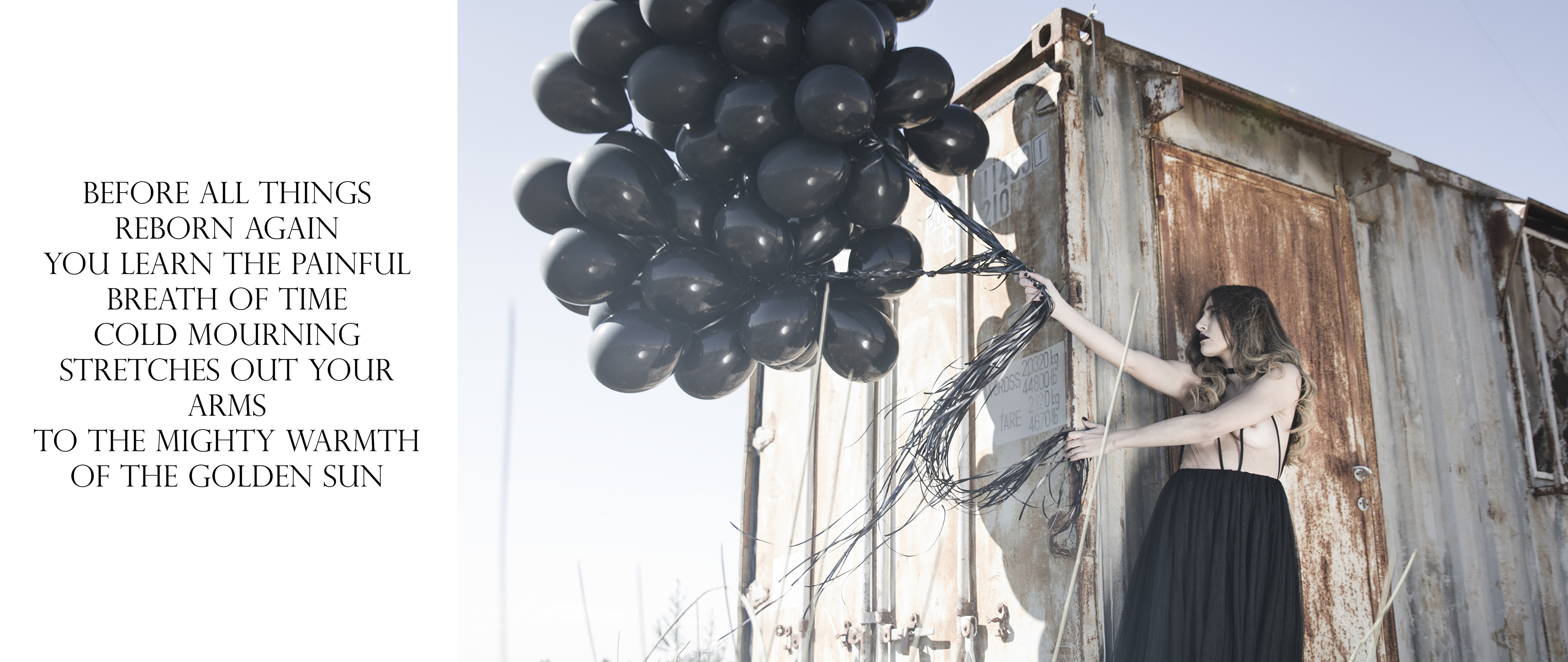 Entry 190549 in Born in winter by Adi dar photography