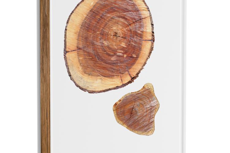 Open Zoomed Related Entry egger_wood pages.png