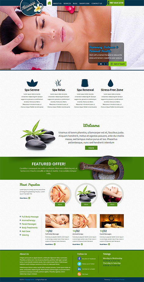 Entry 182636 in Beauty Spa/Massage Wordpress Theme by SKT Themes