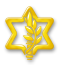 Entry 63980 in Portfolio by אליפסיס
