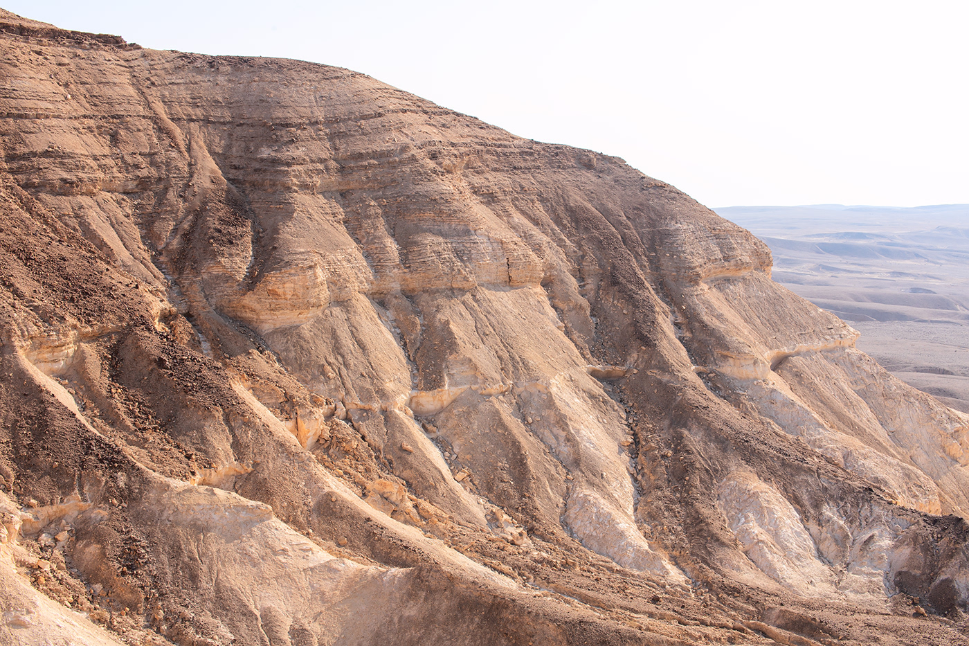 Entry 199894 in The Negev Desert: from a sunrise to the Dead Sea by Sofia Feiguelman