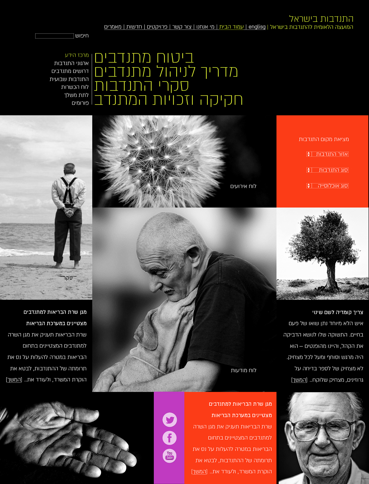 Entry 90095 in web design for ivolunteer by אור נגר