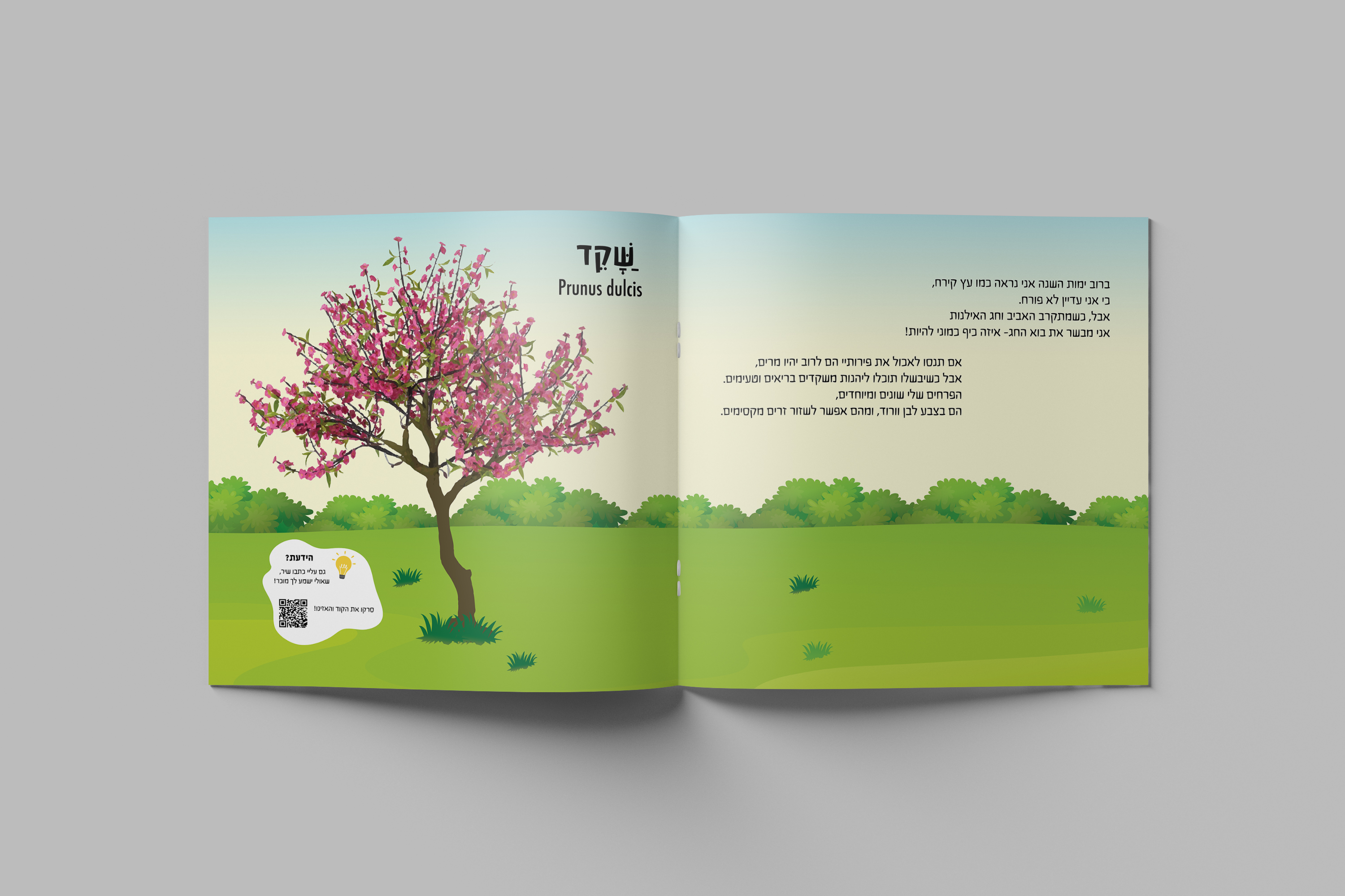 Entry 261776 in Portfolio by by torin