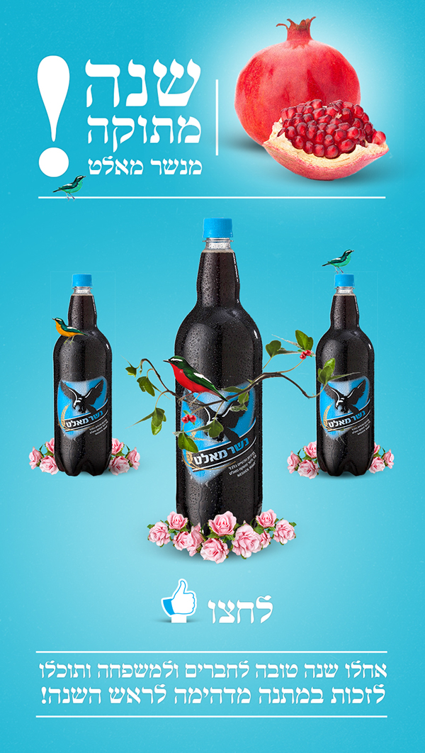 Entry 124260 in Nesher malt beer by julianesc